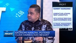 Cuan Bisnis Logistik Saat Belanja Online Meroket di Harbolnas