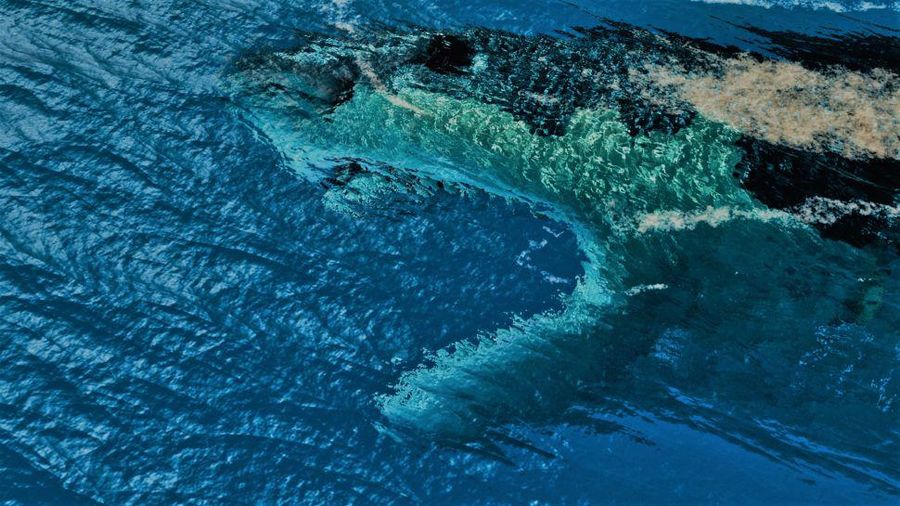 ilustrasi megalodon (Damiano Pierotti/Shutterstock)