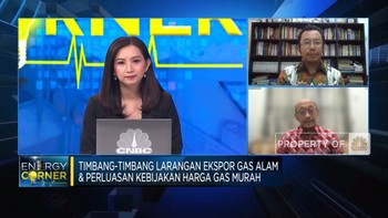Investasi Hingga Demand Rendah, PR RI Setop Ekspor Gas Alam