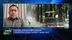 Dorong Peremajaan Sawit Rakyat, DPR Minta BPDPKS Lakukan Ini
