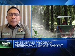 Dorong Peremajaan Sawit Rakyat, DPR Minta BPDPKS Lakukan Ini