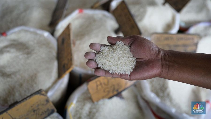 Suasana aktivitas bongkar muat beras di Pasar Induk Beras Cipinang, Jakarta Timur, Selasa (8/8/2023). (CNBC Indonesia/Faisal Rahman)