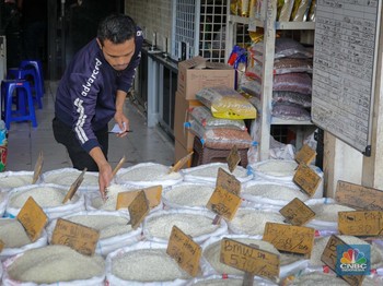 Tahun Terakhir Jokowi, Swasembada Beras RI Sampai Mana?