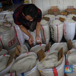 Warga RI Hati-hati, Harga Beras Terbang Terus ke Atas HET