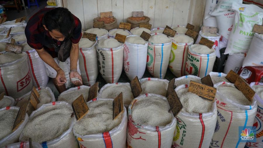 Suasana aktivitas bongkar muat beras di Pasar Induk Beras Cipinang, Jakarta Timur, Selasa (8/8/2023). (CNBC Indonesia/Faisal Rahman)