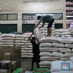Stok Menipis, Harga Beras di Jakarta Mulai Merangkak Naik