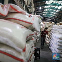 Stok Beras di DKI Drop Parah, Ini Respons Anak Buah Jokowi