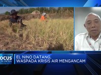 Waspada Puncak El Nino, Krisis Air Hingga Kebakaran Hutan