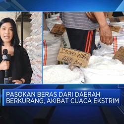 Video: Pantauan Stok Beras di Pasar Induk Beras Cipinang