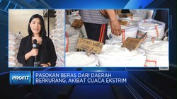 Video: Pantauan Stok Beras di Pasar Induk Beras Cipinang