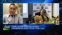 Dino Patti Djalal Nilai Belum Ada Urgensi RI Gabung BRICS