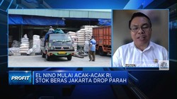 Bapanas Soal El Nino Bikin Stok Beras Jakarta Turun Tajam