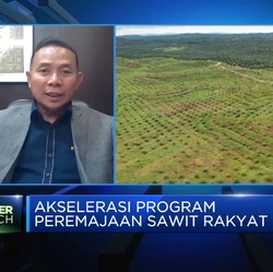 Jurus BPDPKS Capai Target Peremajaan 540 Ribu Hektar Sawit