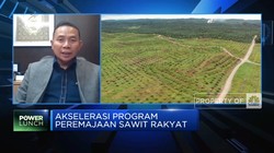 Jurus BPDPKS Capai Target Peremajaan 540 Ribu Hektar Sawit
