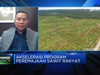 Jurus BPDPKS Capai Target Peremajaan 540 Ribu Hektar Sawit
