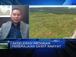 Jurus BPDPKS Capai Target Peremajaan 540 Ribu Hektar Sawit
