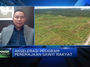 Jurus BPDPKS Capai Target Peremajaan 540 Ribu Hektar Sawit