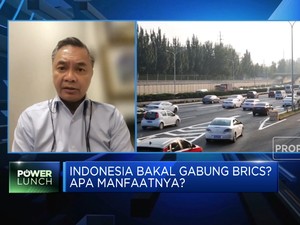 RI Punya Modal Jadi Global Player, Tapi Sayang Kurang Hal Ini