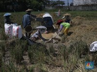 OJK: Lembaga Keuangan Mikro Bisa Jadi Penentu Masa Depan RI