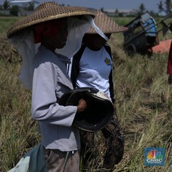 OJK Ingin Perbankan Segera Implementasi Hapus Utang Macet UMKM