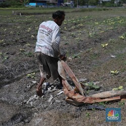 BMKG Minta RI Siaga! El Nino Bertahan & Ini Efek Ngerinya