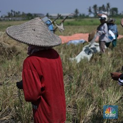 Waspada! BMKG Umumkan Suhu di 7 Kota Ini Bisa Panas Mendidih
