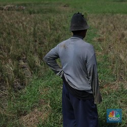 Mentan Blak-Blakan ke DPR Sebut Gorila El Nino Mengerikan