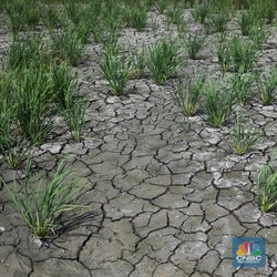 Ini Dia 6 Jurus Kementan Tangkis Horor Efek El Nino