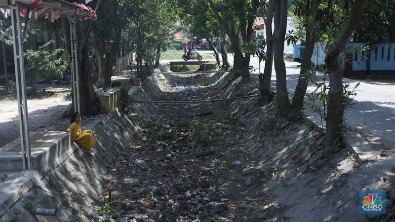 Seorang petani mengamati padi yang mengalami kekeringan di Desa Kramat, Pakuhaji, Kabupaten Tangerang, Banten, Rabu, (9/8/2023). Seorang petani mengamati padi yang mengalami kekeringan di Desa Kramat, Pakuhaji, Kabupaten Tangerang, Banten, Rabu, (9/8/2023). (CNBC Indonesia/Tri Susilo)