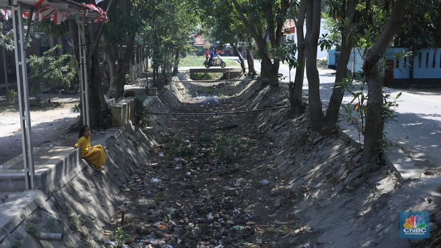 Seorang petani mengamati padi yang mengalami kekeringan di Desa Kramat, Pakuhaji, Kabupaten Tangerang, Banten, Rabu, (9/8/2023). (CNBC Indonesia/Tri Susilo)