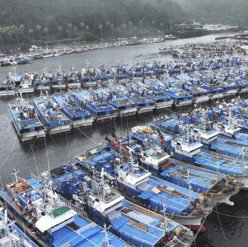 Mayday Mayday! Badai Tropis Khanun Tiba di Korea Selatan