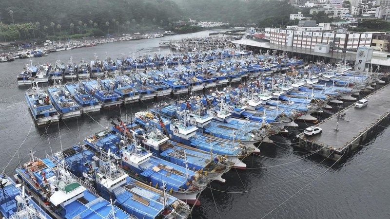 Fishing boats are anchored in a port as Tropical Storm Khanun approaches to Korean peninsular on Jeju Island, Wednesday, Aug. 9, 2023. Dozens of flights and ferry services were grounded in South Korea on Wednesday ahead of the tropical storm that has dumped rain on Japan's southwestern islands for more than a week. (Park Ji-ho/Yonhap via AP)