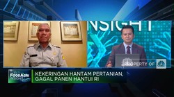 2 Jurus Kementan Selamatkan Petani Hadapi Kemarau Panjang