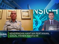 2 Jurus Kementan Selamatkan Petani Hadapi Kemarau Panjang