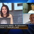 Cadangan Nikel RI Sekarat, Tersisa 7 Tahun Lagi