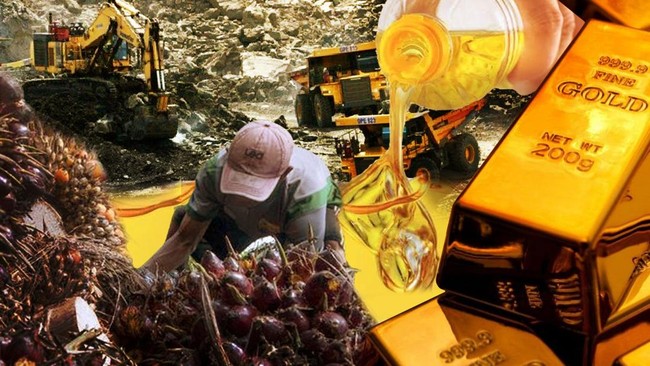 Review Sepekan: Harga Minyak Dunia dan Batu Bara Kompak Turun!