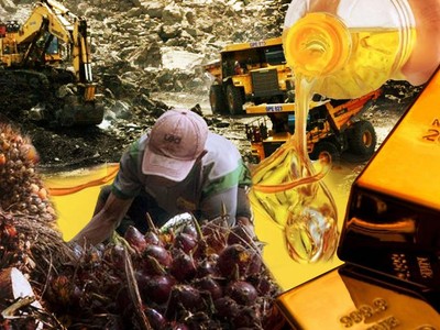 Review Sepekan: Harga Minyak Dunia & Batu Bara Kompak Turun!