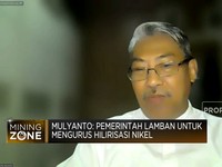 DPR Desak Pemerintah Setop Hilirisasi Setengah Hati