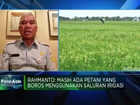 Kementan Ajak Petani Ikut Asuransi Usaha Tani, Ini Alasannya!