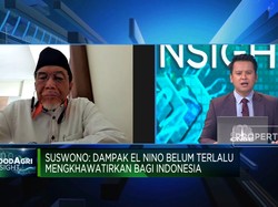 Gak Cuma El Nino, Ini Persoalan Yang Dihadapi Petani RI