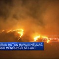 Kebakaran Hutan Hawaii Meluas, Penduduk Mengungsi Ke Laut