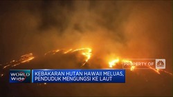 Kebakaran Hutan Hawaii Meluas, Penduduk Mengungsi Ke Laut