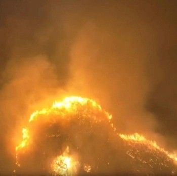 Potret Panik Kebakaran Hutan Hawaii, Setengah Pulau Hancur