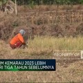 Video: Waspada! Kemarau Tahun Ini Bakal Lebih 