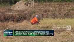 Video: Waspada! Kemarau Tahun Ini Bakal Lebih 