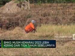 Video: Waspada! Kemarau Tahun Ini Bakal Lebih "Dahsyat"