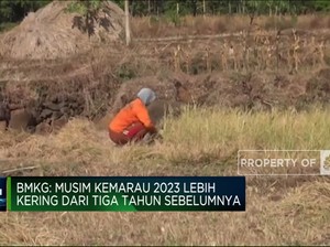 Video: Waspada! Kemarau Tahun Ini Bakal Lebih 