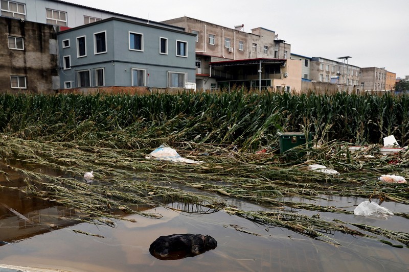 FILE PHOTO: FILE PHOTO:A man holding a child walks across a damaged bridge after the rains and floods brought by remnants of Typhoon Doksuri, in Zhuozhou, Hebei province, China August 7, 2023. REUTERS/Tingshu Wang     TPX IMAGES OF THE DAY/File Photo
