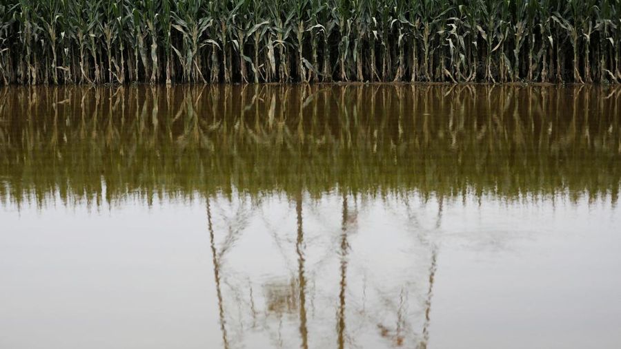 FILE PHOTO: FILE PHOTO:A man holding a child walks across a damaged bridge after the rains and floods brought by remnants of Typhoon Doksuri, in Zhuozhou, Hebei province, China August 7, 2023. REUTERS/Tingshu Wang     TPX IMAGES OF THE DAY/File Photo