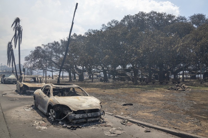 Suasana kebakaran hutan di Maui, Hawaii, Amerika Serikat (10/8/2023) waktu setempat. (REUTERS/MARCO GARCIA) Suasana kebakaran hutan di Maui, Hawaii, Amerika Serikat (10/8/2023) waktu setempat. (REUTERS/MARCO GARCIA)